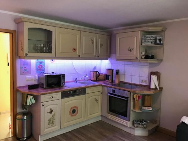 Gaestewohnung Saaleblick Weißenfels Extérieur photo
